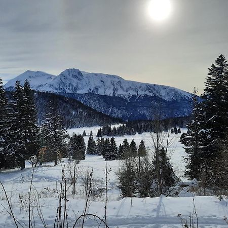 La Petite Foret Chamrousse 1700 المظهر الخارجي الصورة
