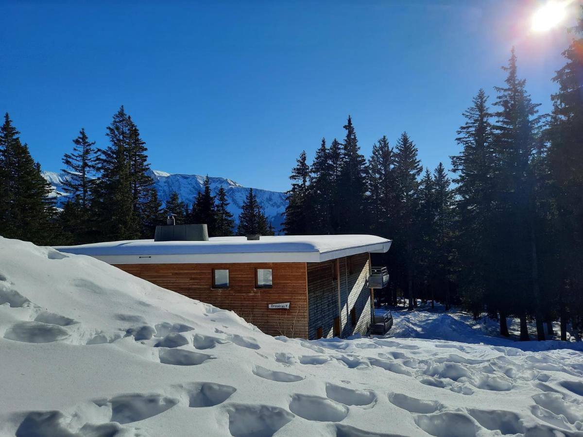 La Petite Foret Chamrousse 1700 المظهر الخارجي الصورة