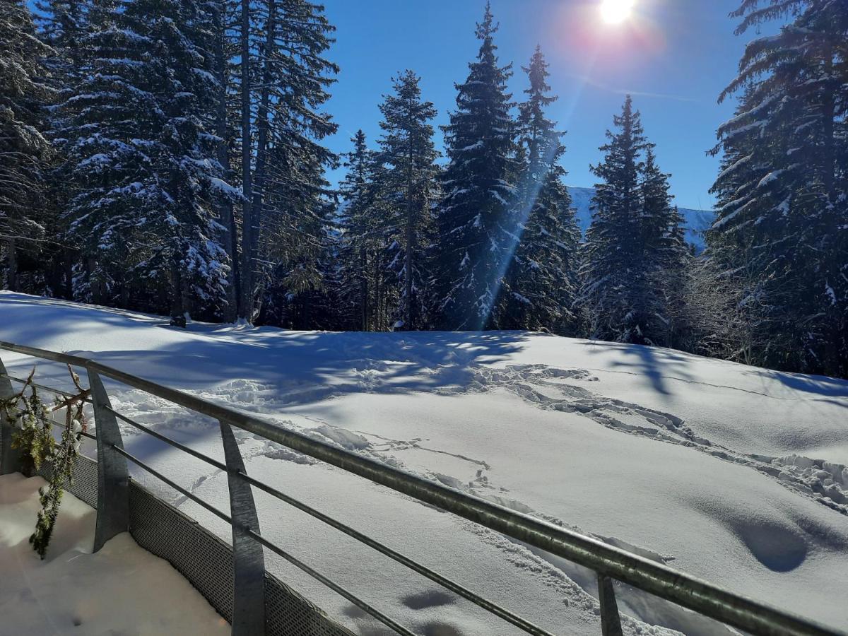 La Petite Foret Chamrousse 1700 المظهر الخارجي الصورة