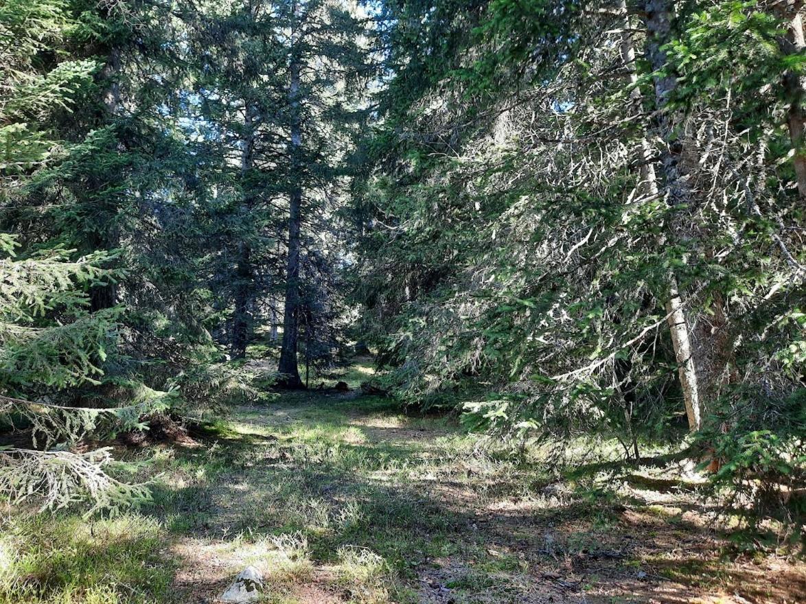 La Petite Foret Chamrousse 1700 المظهر الخارجي الصورة