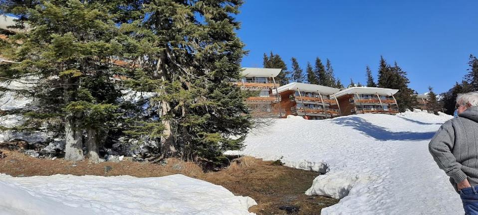 La Petite Foret Chamrousse 1700 المظهر الخارجي الصورة