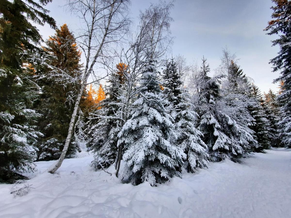 La Petite Foret Chamrousse 1700 المظهر الخارجي الصورة