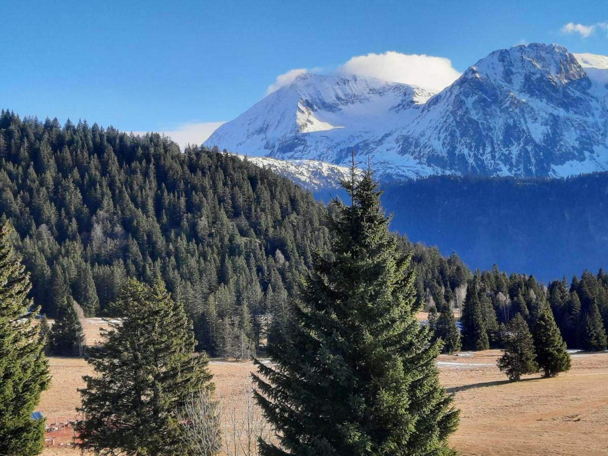 La Petite Foret Chamrousse 1700 المظهر الخارجي الصورة