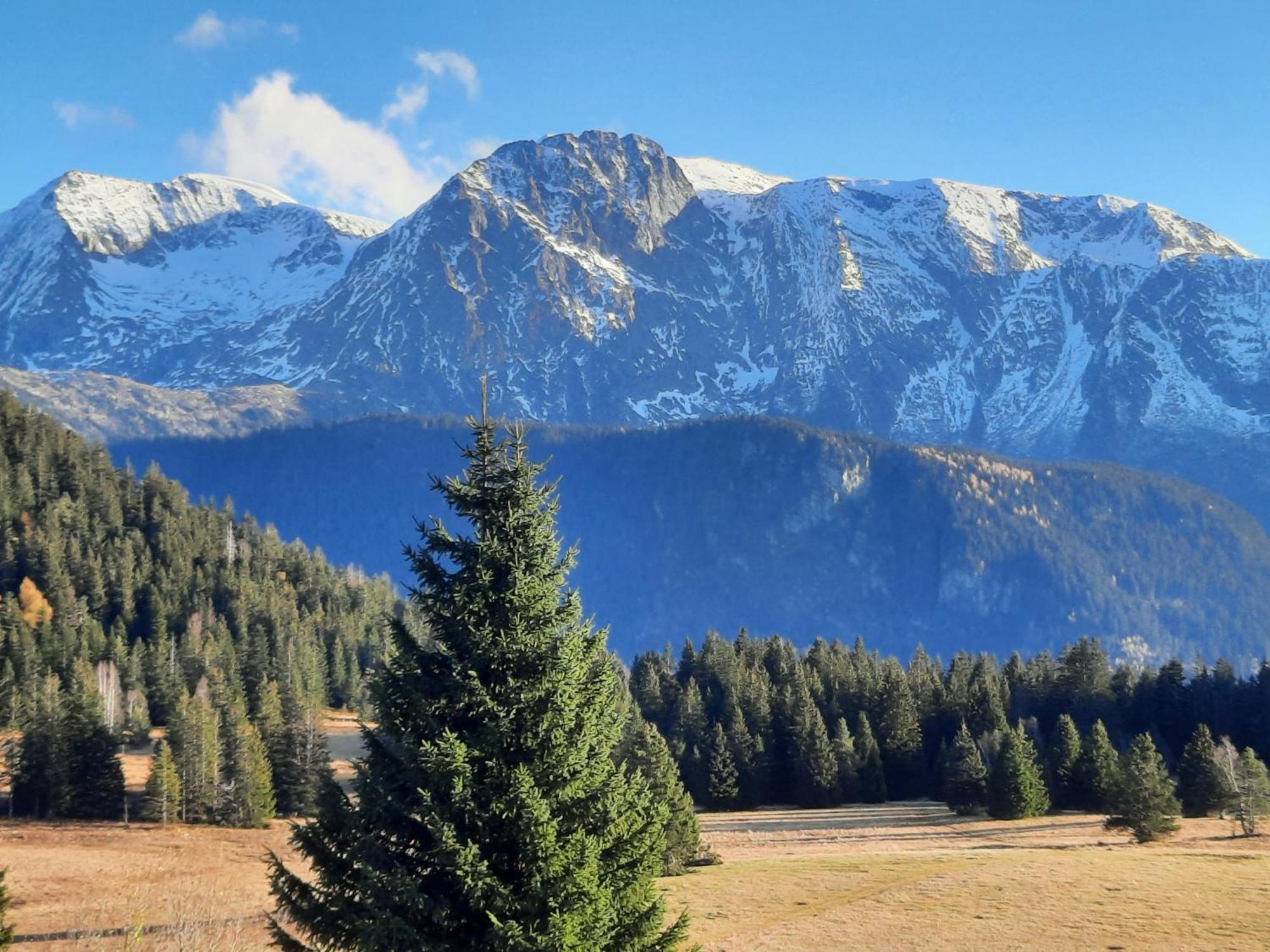 La Petite Foret Chamrousse 1700 المظهر الخارجي الصورة