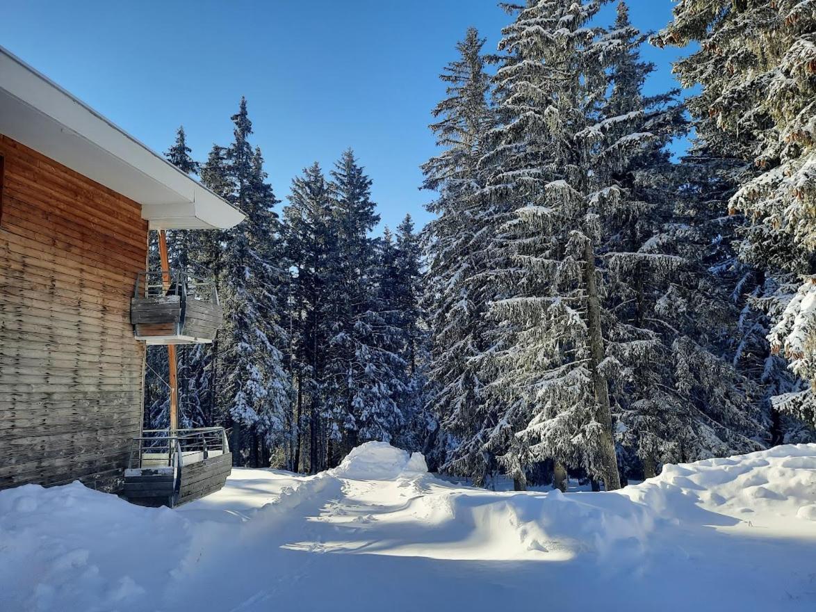 La Petite Foret Chamrousse 1700 المظهر الخارجي الصورة